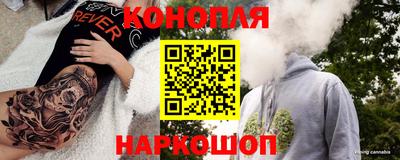прущие крисы Можга