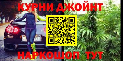 сатива Можайск