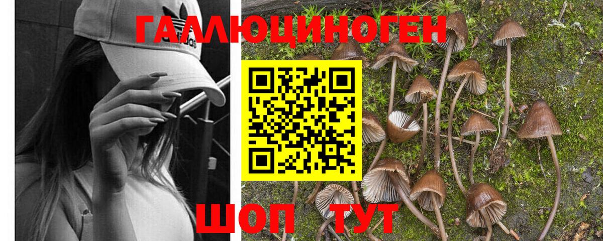 Псилоцибиновые грибы GOLDEN TEACHER  Вход с VPN  Псилоцибиновые грибы Psilocybe  Энгельс 