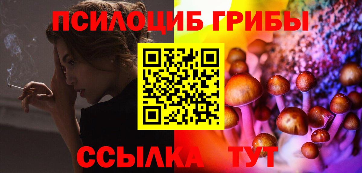 Галлюциногенные грибы Magic Shrooms Энгельс